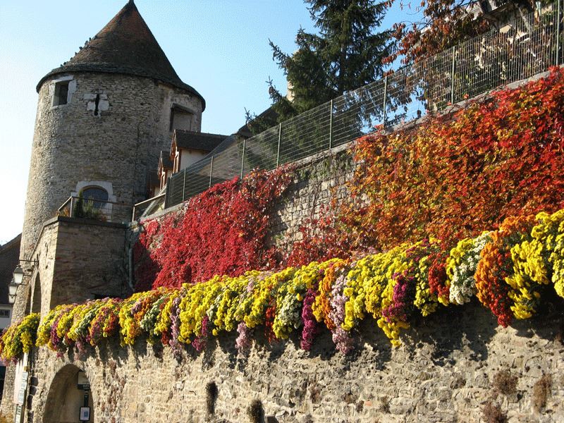 JOURNÉES DU PATRIMOINE DÉDIÉES À LA PIERRE